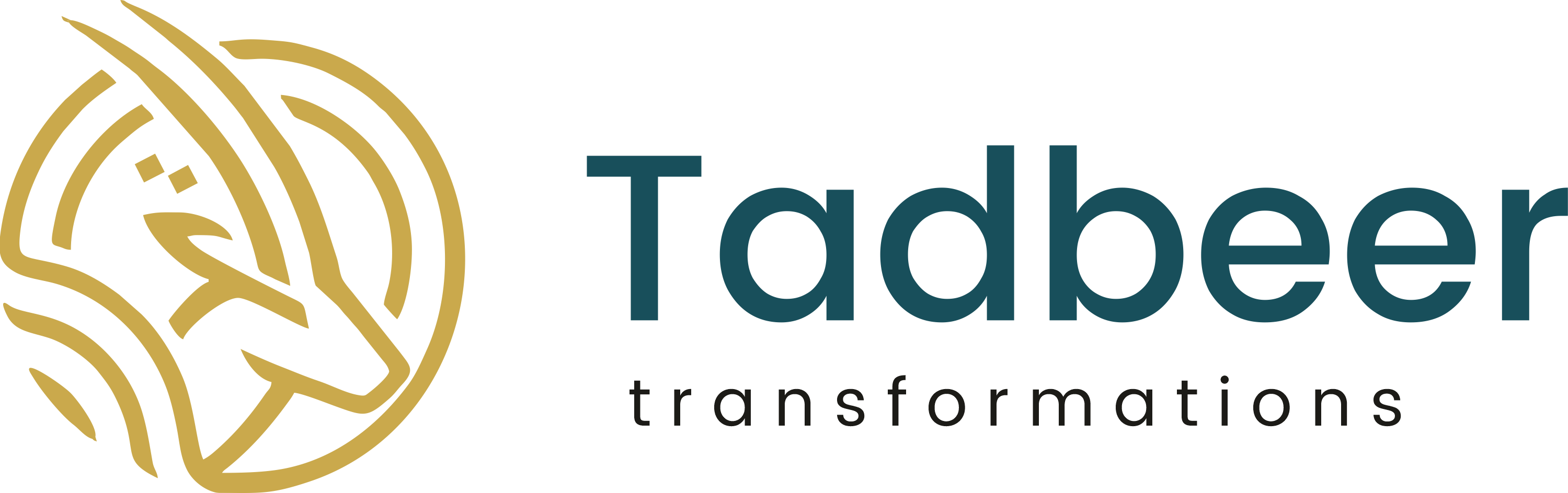 Tadbeer Transformation
